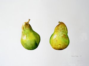 A Pair of Pears by Alison Cooper